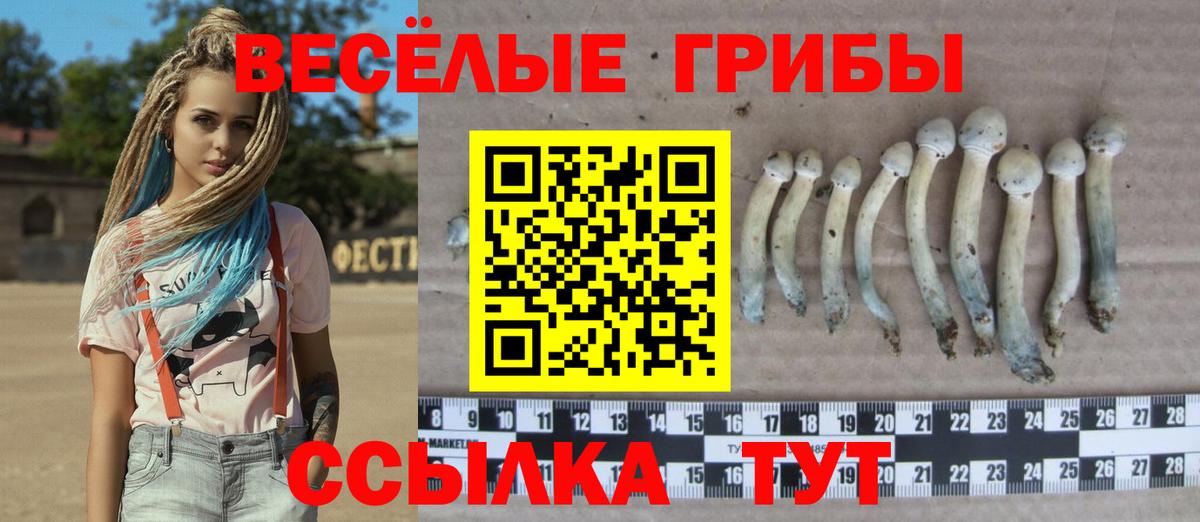 Кировск  хочу наркоту  Вход с VPN  Псилоцибиновые грибы MAGIC MUSHROOMS  Псилоцибиновые грибы Magic Shrooms 